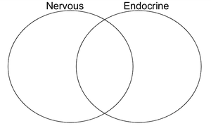 Venn diagram comparing nervous and endocrine systems