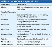 Movements at Synovial Joints