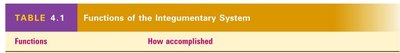Table: Functions of the Integumentary System