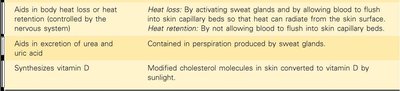 Table: Functions of the Integumentary System (continued)
