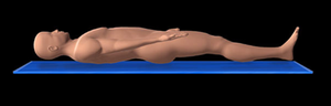 Supine position