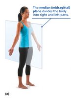 Sagittal plane