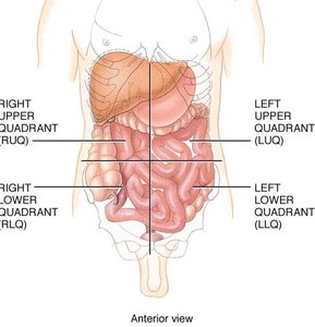Abdominal quadrants