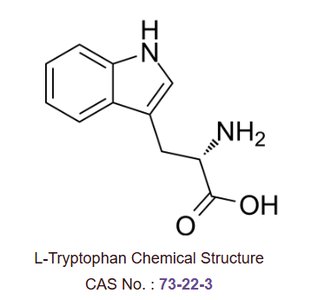 Tryptophan structure (precursor for serotonin and melatonin)