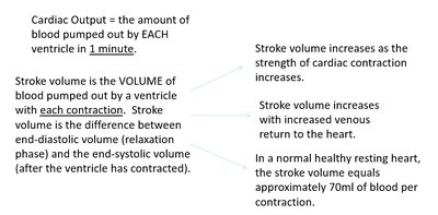 Cardiac output and stroke volume definitions and relationships