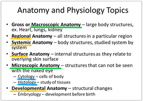 List of anatomy and physiology topics including cytology and histology