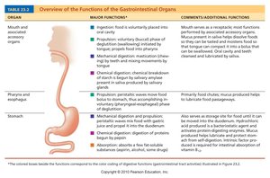 Digestive system overview table part 1