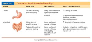 Table of control of small intestinal motility