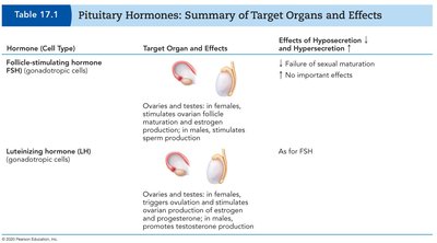 Table of pituitary hormones: FSH and LH
