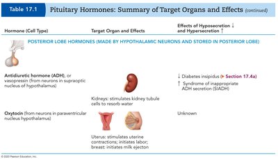 Table of pituitary hormones: ADH and oxytocin