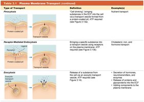 Table of vesicular transport