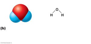 Polar molecule: water