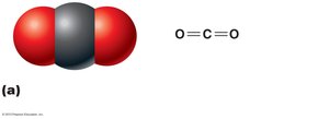 Nonpolar molecule: carbon dioxide