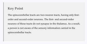 Key Point: Spinocerebellar tracts function