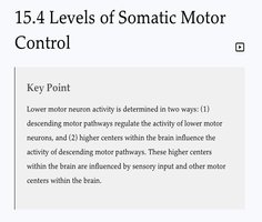 Key Point: Levels of somatic motor control