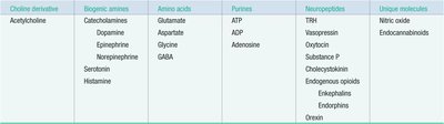 Table of neurotransmitter classes and examples