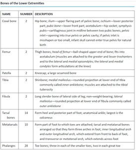 Table of lower extremity bones
