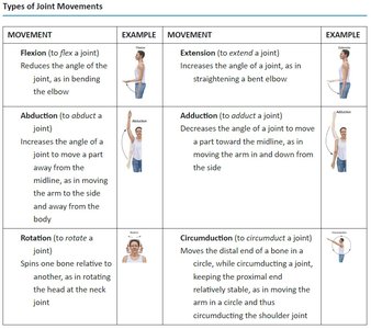 Table of joint movements