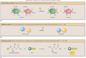 Synthesis reaction