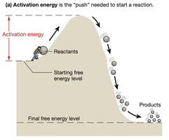 Activation energy diagram