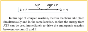 Coupled reaction diagram