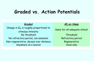Comparison of graded and action potentials