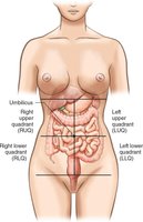 Abdominal quadrants: RUQ, LUQ, RLQ, LLQ