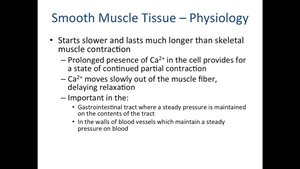 Regulation of smooth muscle contraction