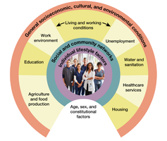 Socioeconomic model showing layers of influence on health behaviors