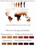 Diagram showing types of melanin and their color range