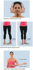 Internal and external rotation movements