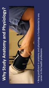 Measuring blood pressure as a health profession example