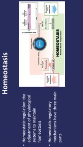 Homeostatic regulation diagram with parts