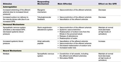 Summary table of GFR control