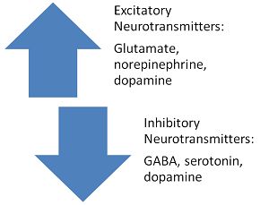 Excitatory and inhibitory neurotransmitters