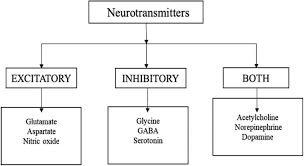 Classification of neurotransmitters