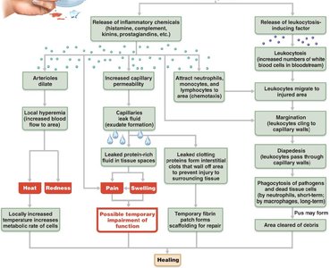 Inflammation flowchart