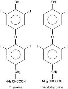 Chemical structures of thyroxine (T4) and triiodothyronine (T3)