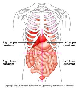 Abdominopelvic quadrants