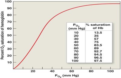 Oxygen-hemoglobin saturation curve
