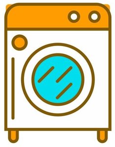 Stomach wall showing muscular layers and rugae