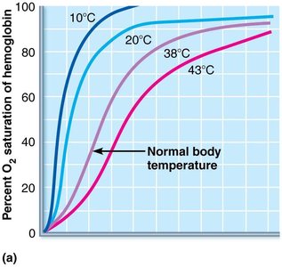 Oxygen-Hemoglobin Dissociation Curve