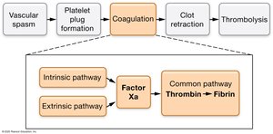 Concept Boost: Coagulation goals