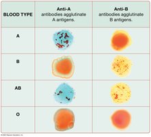 Blood type testing