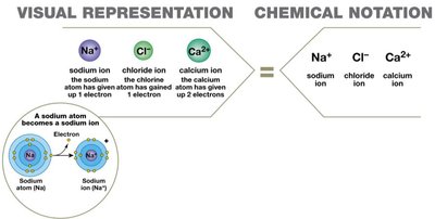 Visual representation and chemical notation of ions