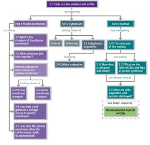 Cell chapter concept map