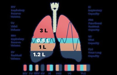 Spirogram showing lung volumes and capacities
