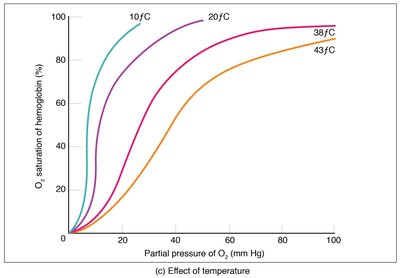 Effect of temperature on oxygen unloading