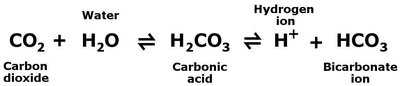 Bicarbonate buffer equation