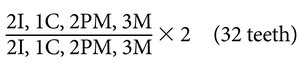 Dental formula for permanent teeth